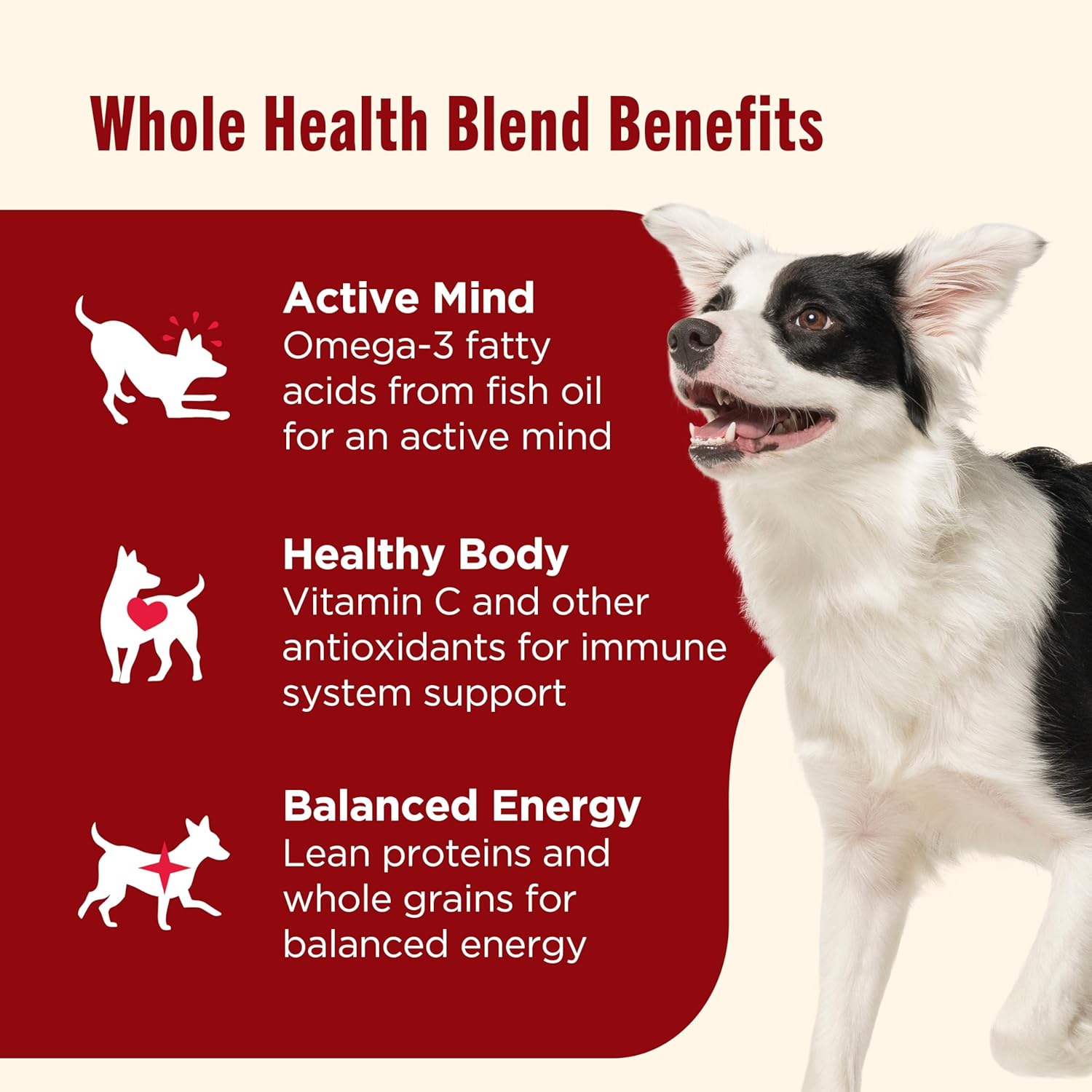 rachael ray nutrish real beef dry dog food adult dogs 40 lb whole health blend