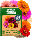 HOME GROWN Zinnia Dahlia Seeds Pack for 2026 Non GMO 524 Flower Seeds | Vibrant Zinnia Elegans for Pollinator Gardens, Borders & Containers | Easy-to-Grow Outdoor Blooms