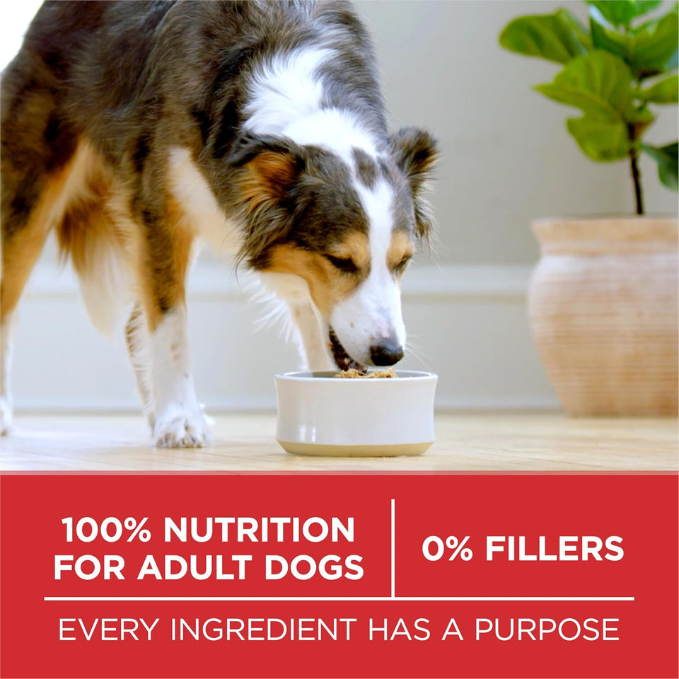 PLrina ONE Dry Dog Food Lamb and Rice Formula - 31.1 lb. Bag