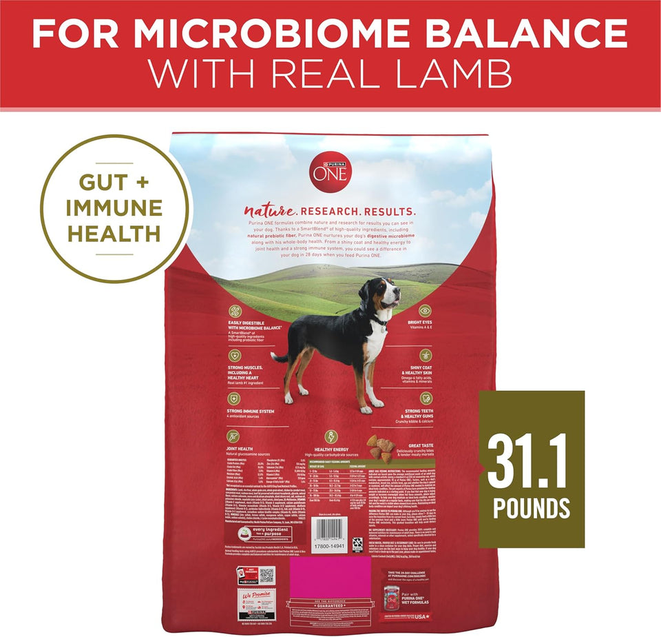 PLrina ONE Dry Dog Food Lamb and Rice Formula - 31.1 lb. Bag