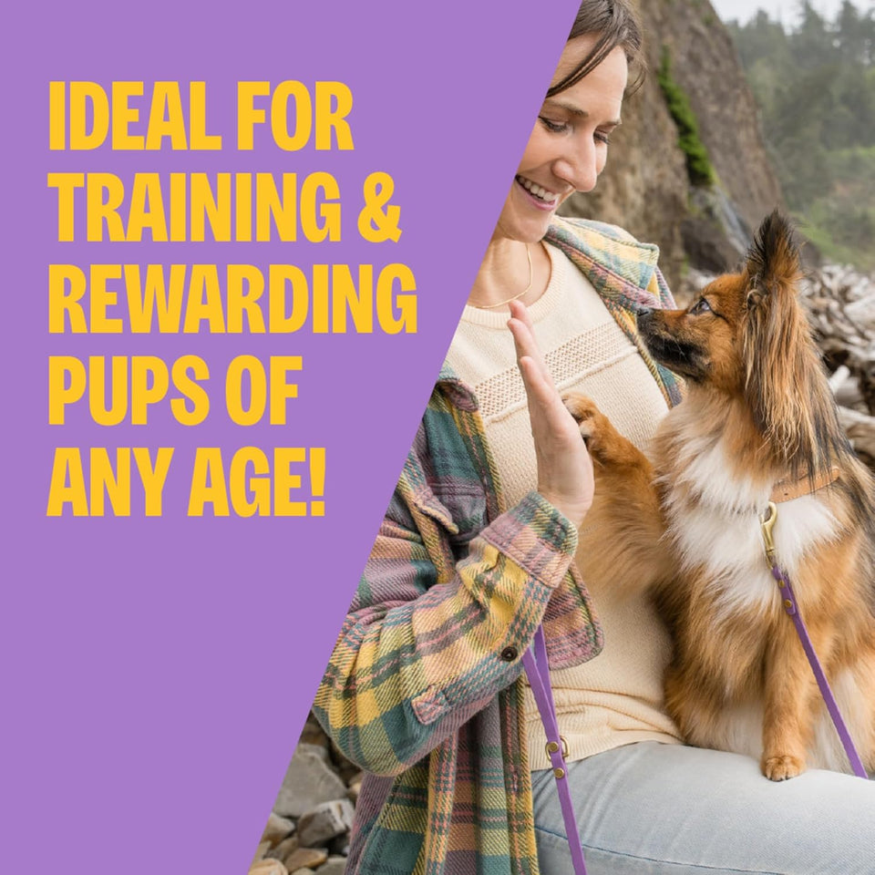 Wellness PLppy Treats, Natural, Training Treat, Grain Free, Soft Lamb & Salmon (8 Ounce Bag)