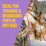 Wellness PLppy Treats, Natural, Training Treat, Grain Free, Soft Lamb & Salmon (8 Ounce Bag)