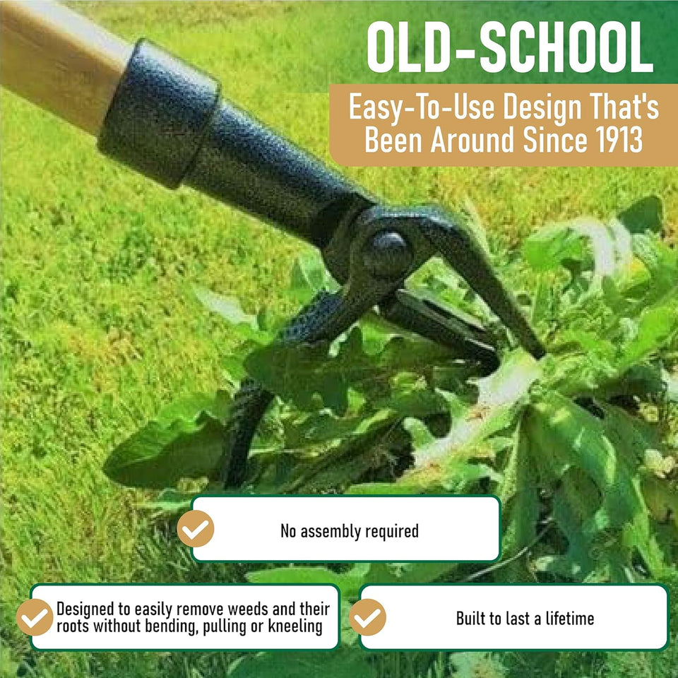 Grampa's Weeder - The Original Stand Up Weed PLller Tool with Long Handle - Made with Real Bamboo & 4-Claw Steel Head Design - Easily Remove Weeds Without Bending, PLlling, or Kneeling.