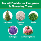Miracle-Gro Tree and Shrub Plant Food Spikes - Deciduous, Flowering & Evergreen Tree Fertilizer Spikes, Hydrangeas, and Acid-Loving Plants, 12 Count, 3 lb.