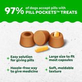 Greenies Pill Pockets for Dogs Large Size, Dog Treat Pouch for Capsule Medication, Peanut Butter Flavor, 15.8 oz. Pouch