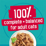 PLrina Friskies Wet Cat Food Variety Pack, Tasty Treasures Prime Filets (With Ocean Fish and Tuna, With Chicken and With Turkey) - 5.5 Ounce (Pack of 12)