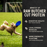 Vital Essentials Freeze Dried Dog Treats | Beef Liver, Single Ingredient | Premium Quality | Grain Free Training Treats for Dogs, 2.1 oz Bag