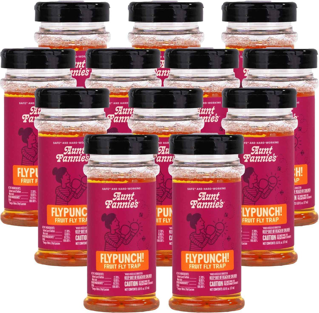 Aunt Fannie's FlyPunch Fruit Fly Trap for Indoor and Kitchen Use, Ready to Use, Made with Plant Based Ingredients, Safe Near Food, Each Bottle Lasts Up to 30 Days, Pack of 2