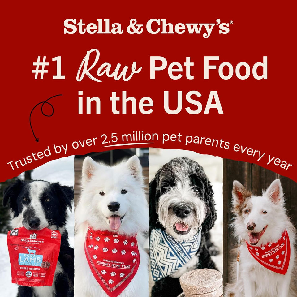 Stella & Chewy's Freeze-Dried Raw Dinner Patties - Beef Recipe - High Protein Grain-Free PLppy & Dog Food - Perfect For Picky Eaters - 25 oz