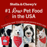 Stella & Chewy's Freeze-Dried Raw Dinner Patties - Beef Recipe - High Protein Grain-Free PLppy & Dog Food - Perfect For Picky Eaters - 25 oz