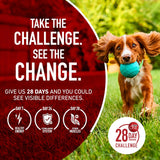 PLrina ONE Dry Dog Food Lamb and Rice Formula - 31.1 lb. Bag