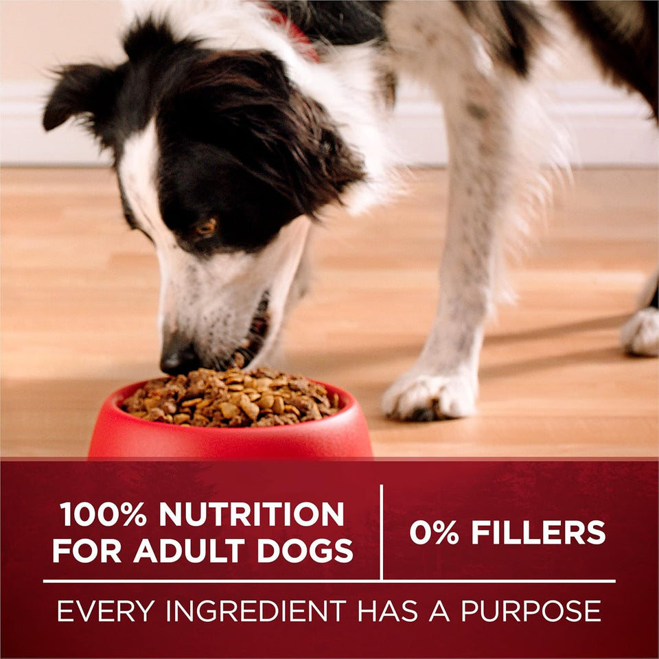 PLrina ONE True Instinct With A Blend Of Real Turkey and Venison Dry Dog Food - 36 lb. Bag