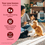 Fresh Step Heavy Duty Odor Block Advanced Multi Cat Clumping Litter with Febreze, 17.5 lb (Package May Vary)