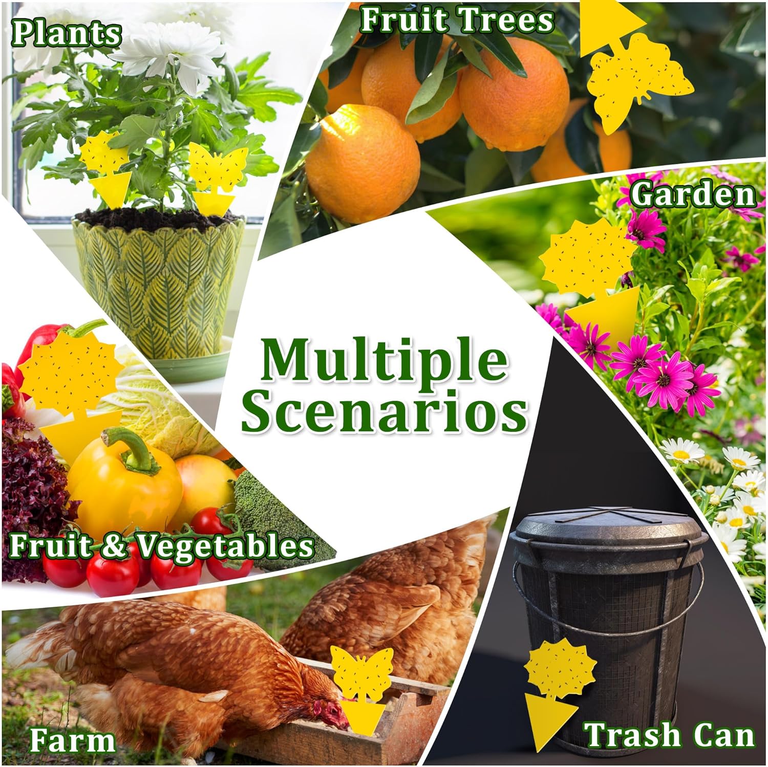 Fruit Fly Traps Indoor Fungus Gnat Trap 48PCS for Plants Yellow Houseplants Outdoor Use Insect Sticky