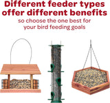 Kaytee All American Wild Bird Food Seed Blend for Cardinals, Blue Jays, Finches & Other Outdoor Wild Birds, 5 Pounds