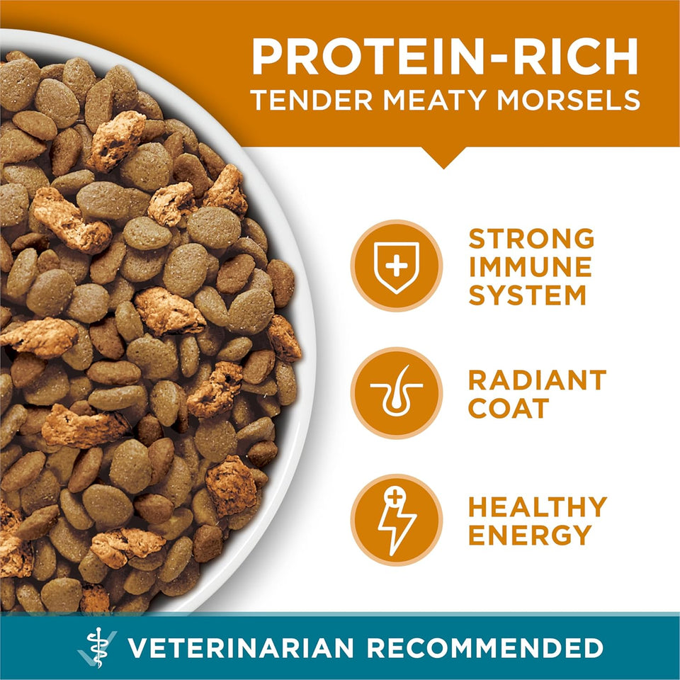 PLrina ONE Natural Dry Cat Food, Tender Selects Blend With Real Chicken - 7 lb. Bag