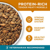 PLrina ONE Natural Dry Cat Food, Tender Selects Blend With Real Chicken - 7 lb. Bag