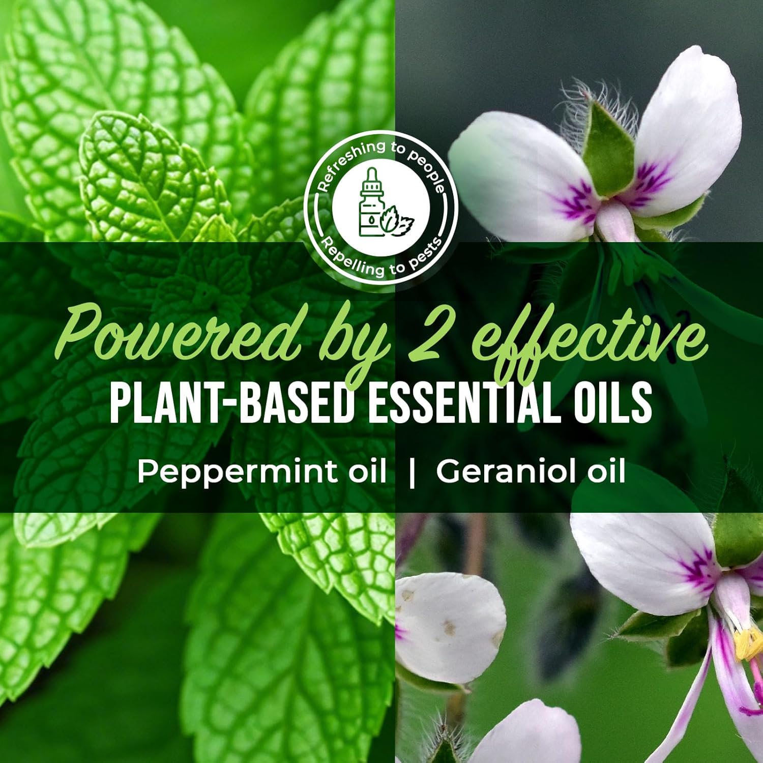 Mighty Mint Peppermint Oil Spider Repellent Spray – Indoor & Outdoor Bug Control for Spiders and Insects – Plant-Based, Extra-Strong Formula - 16 oz
