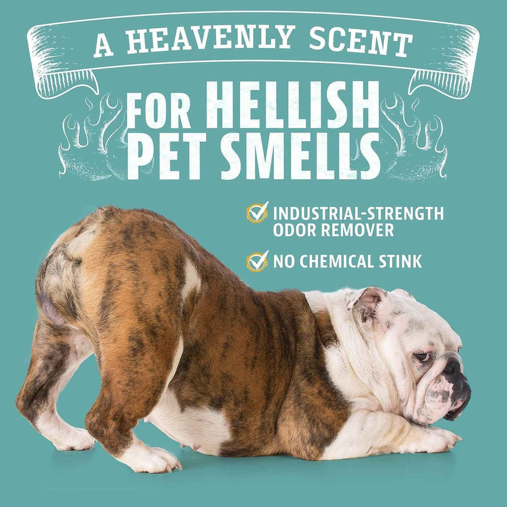Angry Orange Pet Odor Eliminator with Natural Orange Oil - 24 oz - Non-Toxic, Citrus Scent