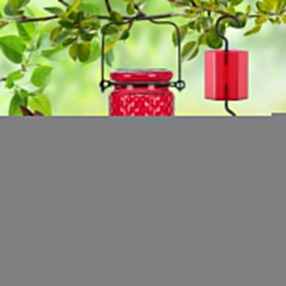 FEED GARDEN Glass Hummingbird Feeder, 16oz Outdoor Hanging Bird Feeder with Ant Moat, 4 Bee-Proof Feeding Ports, 360° Perch, Leak-Proof, Red