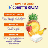Nicorette Nicotine Gum Stop Smoking Aid, 2 mg, Fruit Chill Flavor - 200 Count