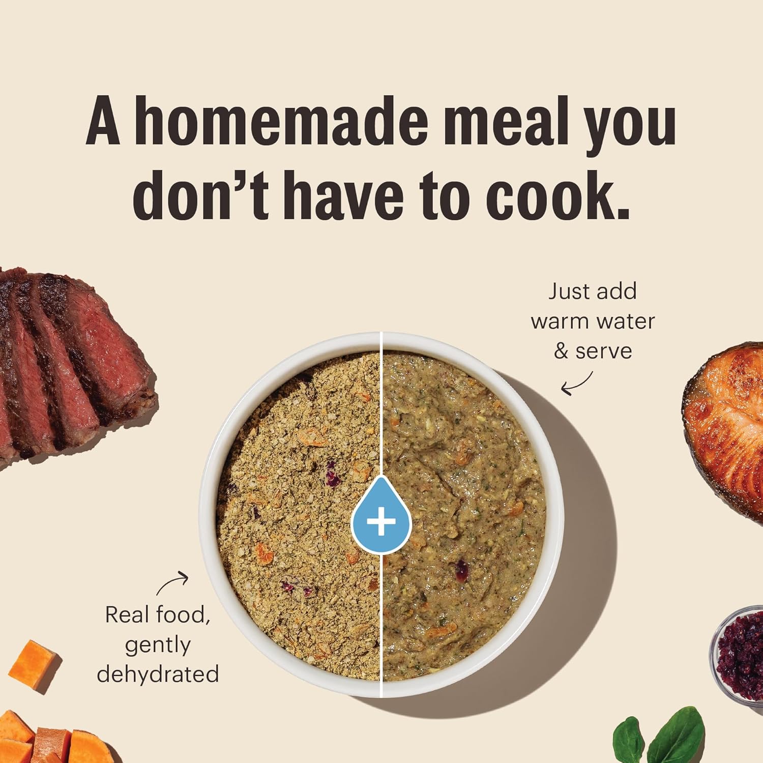 honest kitchen human grade wholemade dehydrated whole grain dog food turkey 10 lb box