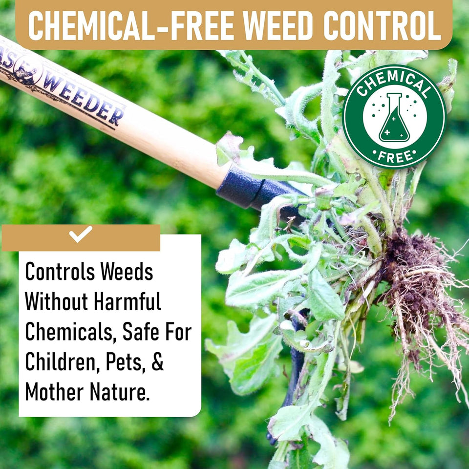 Grampa's Weeder - The Original Stand Up Weed PLller Tool with Long Handle - Made with Real Bamboo & 4-Claw Steel Head Design - Easily Remove Weeds Without Bending, PLlling, or Kneeling.