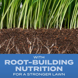 Scotts Turf Builder Grass Seed Sun and Shade Mix - Grass Seed Plus Lawn Fertilizer and Soil Improver, Covers Up to 2,240 sq. ft., 5.6 lb.