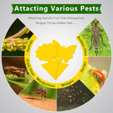 Fruit Fly Traps Indoor Fungus Gnat Trap 48PCS for Plants Yellow Houseplants Outdoor Use Insect Sticky