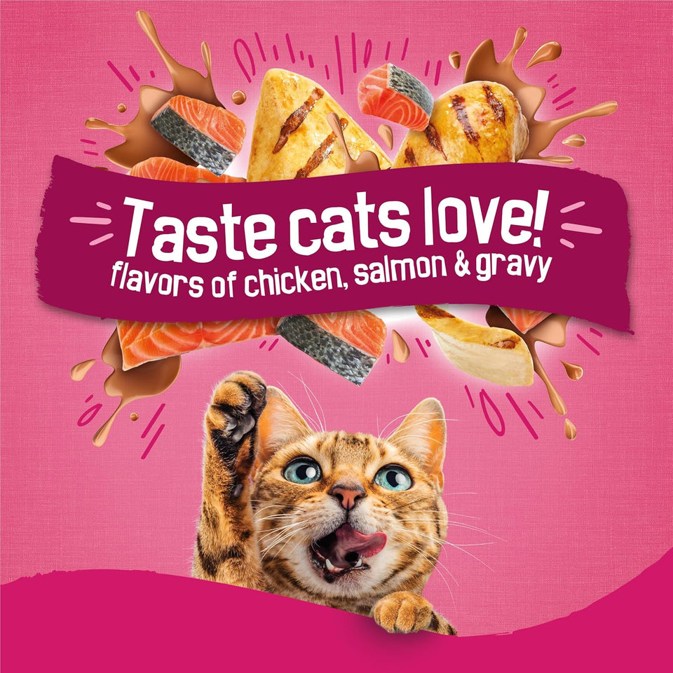 PLrina Friskies Gravy Swirlers With Flavors of Chicken, Salmon and Gravy Dry Cat Food - 3.15 lb. Bag