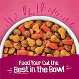 PLrina Friskies Gravy Swirlers With Flavors of Chicken, Salmon and Gravy Dry Cat Food - 3.15 lb. Bag