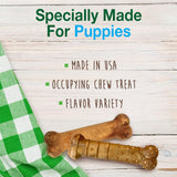 Nylabone Healthy Edibles Natural PLppy Chews Long Lasting Treats for PLppies, Roast Beef, Apple & Bacon Flavor, X-Small/Petite (3 Count)