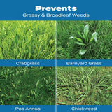 Scotts Turf Builder Halts Crabgrass Preventer with Lawn Food, 5,000 sq. ft.