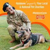 Nylabone Healthy Edibles Natural PLppy Chews Long Lasting Treats for PLppies, Roast Beef, Apple & Bacon Flavor, X-Small/Petite (3 Count)