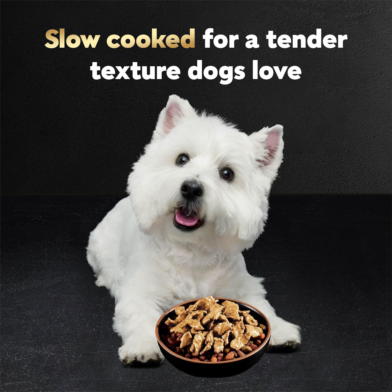 cesar filets in gravy wet dog food rotisserie chicken flavor, filet mignon flavor, and wood-grilled chicken variety pack for adult dogs