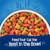 PLrina Friskies Dry Cat Food Seafood Sensations With Salmon, Tuna, and Shrimp Flavors - 22 lb. Bag