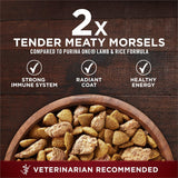 PLrina ONE True Instinct With A Blend Of Real Turkey and Venison Dry Dog Food - 36 lb. Bag