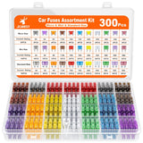 JOREST 300Pcs Car Fuse Assortment Kit, 160 Mini Blade Fuses Automotive + 90 Standard Auto Fuses + 50 Micro + PLller – Replacement for RV Camper Boat Truck (2Amp 3A 5A 7.5A 10A 15A 20A 25A 30A 35A 40A)