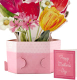 Hallmark Paper Wonder Mother's Day Pop Up Card (Marjolein Bastin Bouquet)